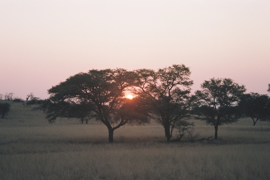 Sunset, Kgalagadi