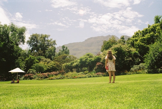 Tokara gardens, Stellenbosch
